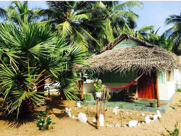 Sun Wind Beach Kalpitiya Kite Resort Εξωτερικό φωτογραφία